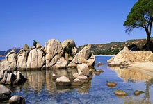 粤BA：“广货行天下”的激情实验