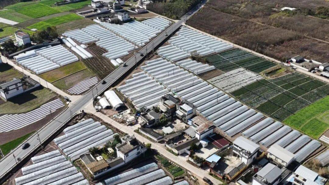 坐等夏天吃瓜！